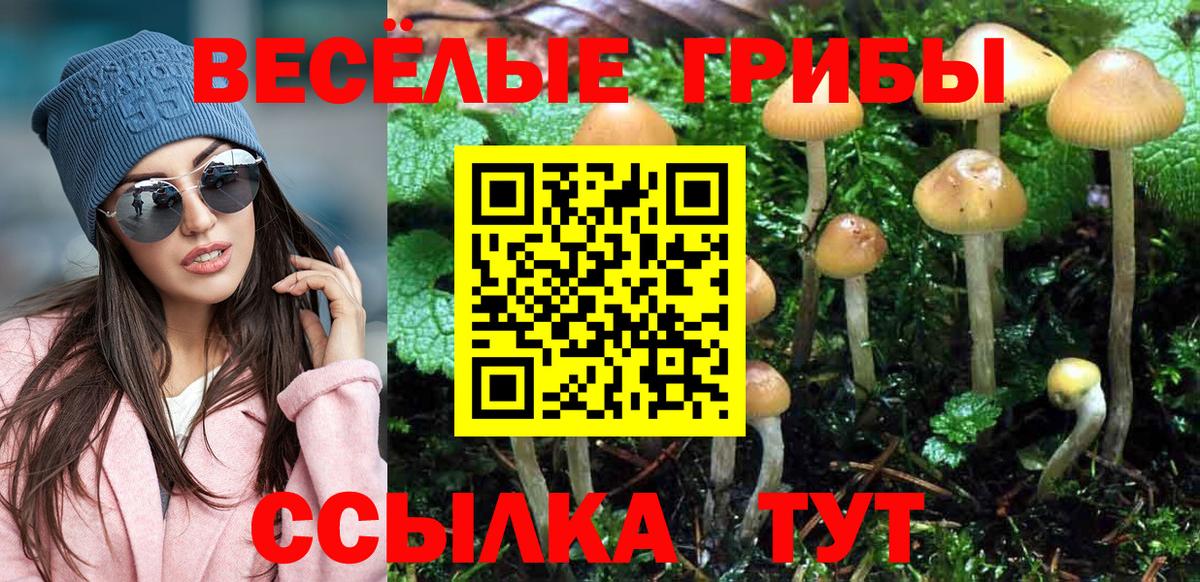Кизилюрт  Псилоцибиновые грибы Magic Shrooms  Галлюциногенные грибы ЛСД  Вход с VPN 