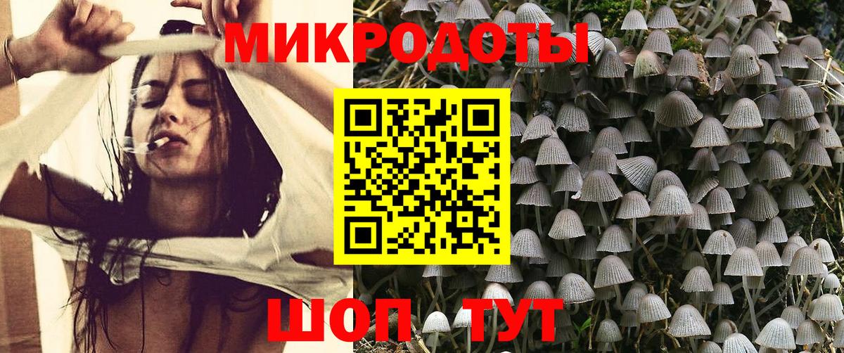 Галлюциногенные грибы Cubensis Кизилюрт